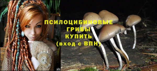 прущий лед Киренск